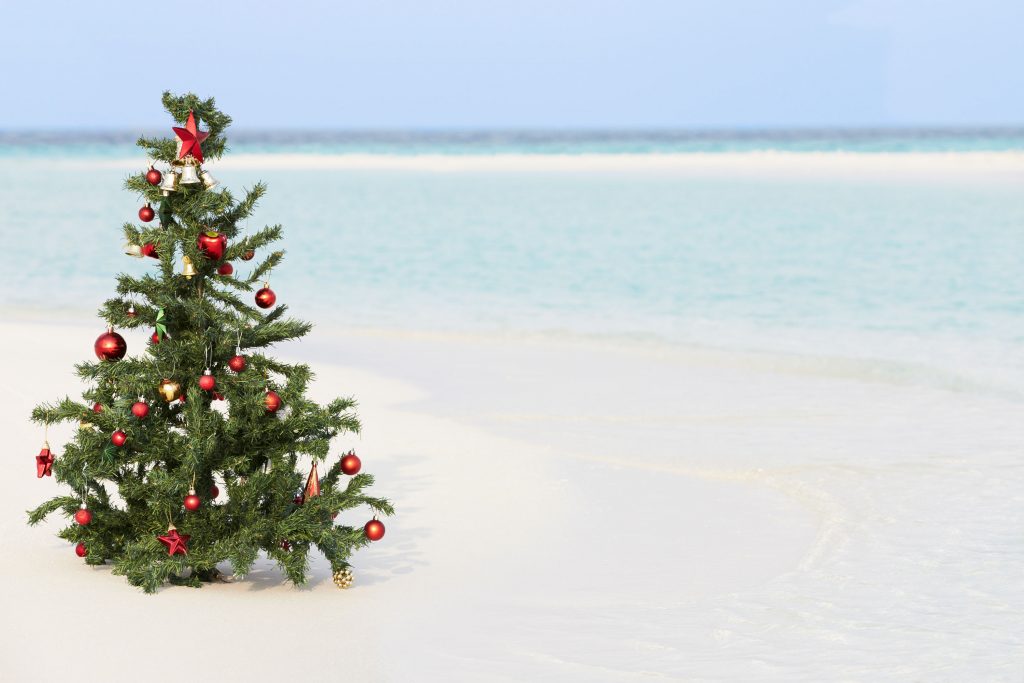 why-do-australians-celebrate-christmas-in-july-pigram-brothers